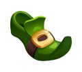 Traditional green shoe of gnome, leprechaun, St. Patrick`s Day. Royalty Free Stock Photo