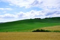 Traditional green Tuscan hills, Italy Royalty Free Stock Photo