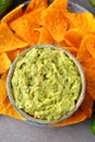 Traditional guacamole