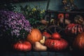 Traditional Halloween decoration, many different pumpkins and flowers on the street