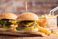 Traditional hamburger with lettuce and fries