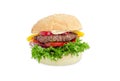 Traditional hamburger on a light background