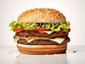 Traditional hamburger on white shiny surface, close-up.