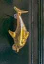 Traditional handle and doorknocker made of brass in the form of a dolphin on the doors of old houses in Malta