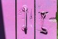 Traditional handle and hook on the old wooden door, all painted in pink, on a bright sunny day