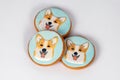 Traditional handmade painted gingerbreads with welsh corgi dog portraits. Beautiful cookies decorated by colorful frosting. Idea f
