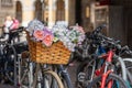Traditional Handmade Wicker Bicycle Front Basket with Leather Straps full of flowers Royalty Free Stock Photo