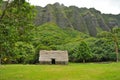 Traditional Hawaiian home in a field