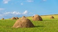 Traditional hay bales in September, green field blue sky Royalty Free Stock Photo