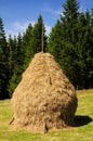 Traditional hay stack in romania Royalty Free Stock Photo