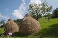 Traditional hay stack in romania Royalty Free Stock Photo