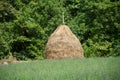 Traditional Haystack in a Green Meadow Royalty Free Stock Photo