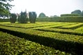 Traditional hedge maze in park