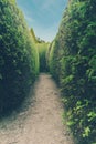 Traditional hedge maze Royalty Free Stock Photo