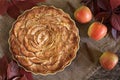 Traditional holiday celebration homemade apple pie