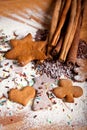 Traditional home baked ginger cookies Royalty Free Stock Photo