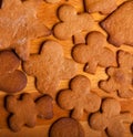 Traditional home baked ginger cookies Royalty Free Stock Photo