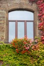 A traditional home window decorated with flowers and covered with leaves Royalty Free Stock Photo