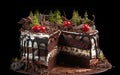 Traditional homemade chocolate cake sweet pastry dessert with brown icing, cherries, raspberry Royalty Free Stock Photo