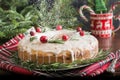 Traditional homemade Christmas cake with garnish cranberry and rosemary on decorative plate. Powdering with icing sugar Royalty Free Stock Photo