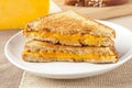 Traditional Homemade Grilled Cheese Sandwich Royalty Free Stock Photo