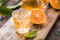 Traditional homemade orange liqueur limoncello and fresh citrus on a wooden table Royalty Free Stock Photo