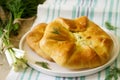 Traditional homemade Romanian and Moldovan pies - Placinta, served with wine. Rustic style.