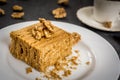Traditional honey cake Royalty Free Stock Photo