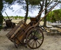 Traditional horse carriage or donkey used in the Apulian countryside Royalty Free Stock Photo