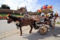 Traditional Horse Carriage