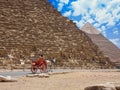 Traditional horse and carriage parked in front of the iconic Great Pyramids of Giza, Egypt Royalty Free Stock Photo