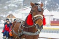 Traditional horse carriage Royalty Free Stock Photo