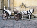 Traditional Horse and Cart at Cordoba, Spain