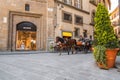 Traditional horse carts offering visitors a nostalgic city tour in Florence, Tuscany, Italy