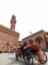 Traditional horse carts offering visitors a nostalgic city tour in Florence, Tuscany, Italy