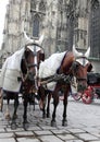 Traditional horse coach Royalty Free Stock Photo