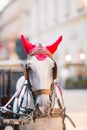 Traditional horse coach Fiaker in Vienna Austria Royalty Free Stock Photo