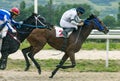 Traditional Horse Race In Pyatigorsk