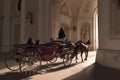 Traditional horse riding in a horse-drawn Fiaker. Vienna, Austria. Royalty Free Stock Photo
