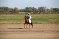 Traditional horse show in the hungarian lowlands