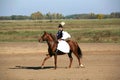 Traditional horse show in the hungarian lowlands