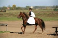 Traditional horse show in the hungarian lowlands