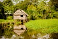 Traditional house in the amazonas jungle Royalty Free Stock Photo