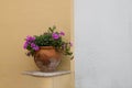Traditional house exterior decoration with pink geraniums growing in a flower pot