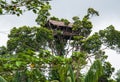 Traditional house Korowai tribe. Tribe of Korowai Kombai , Kolufo.