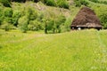 Traditional house with straw roof