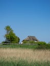 Traditional House with Straw Thatched Roof in Denmark