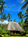 Traditional house with thatched roof on Vanua Levu Island, Fiji Royalty Free Stock Photo