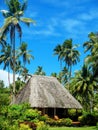 Traditional house with thatched roof on Vanua Levu Island, Fiji Royalty Free Stock Photo