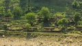 Traditional Houses on the Green Forest Rocks in Pakistani Mountains Royalty Free Stock Photo